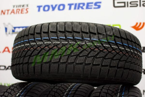 175/65R14 Dayton DW510 Evo 88T - Vissezonas riepas / Ziemas riepas