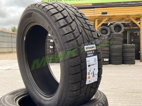 245/50R20 Dynamo Snow-H MWS01 102H ar radzēm - Ziemas ar radzēm riepas