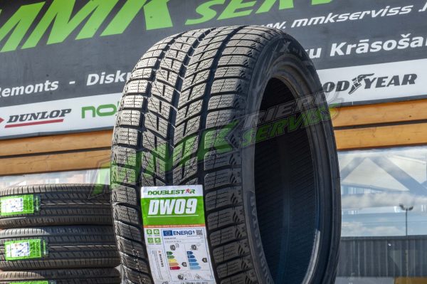 215/55R18 Doublestar DW09 95H - Vissezonas riepas / Ziemas riepas