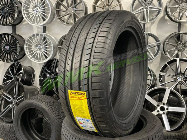 275/45R20 Fortuna Ecoplus SUV 110W XL - Vasaras riepas