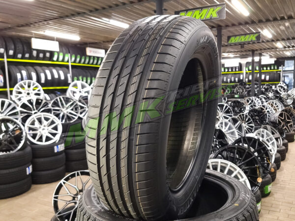 225/55R17 Maxtrek Maximus M2 101V XL - Vasaras riepas