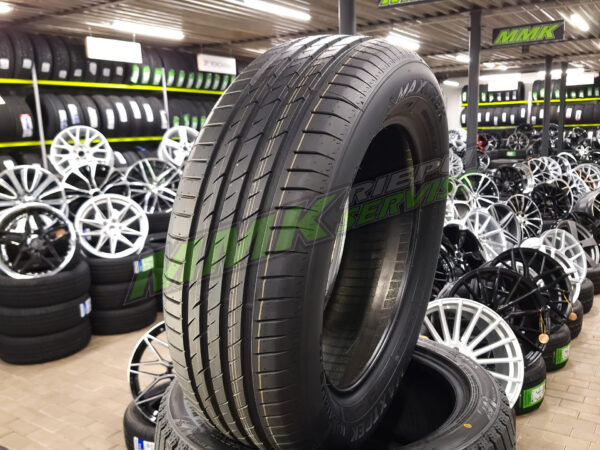 225/55R17 Maxtrek Maximus M2 101V XL - Vasaras riepas