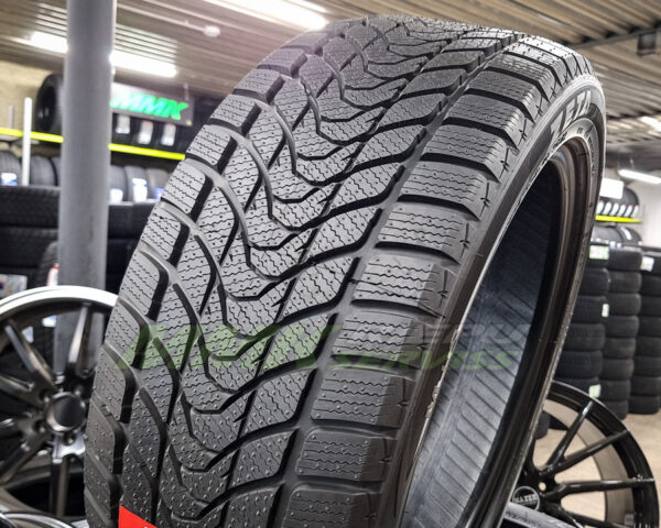 205/60R16 Zeta Antarctica 5+ 96H - Vissezonas riepas / Ziemas riepas