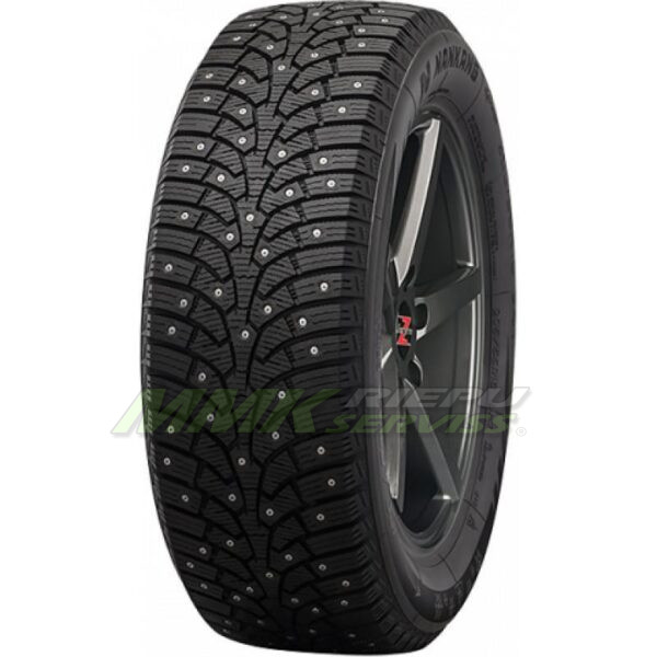 285/50R20 NANKANG SW-9 116Q XL ar radzēm - Ziemas ar radzēm riepas