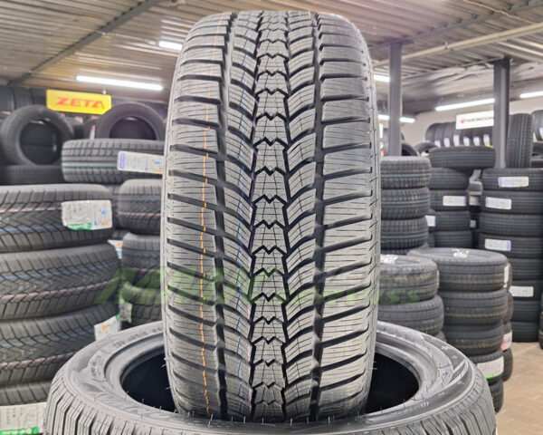 205/60R16 Sava Eskimo HP2 92H - Vissezonas riepas / Ziemas riepas