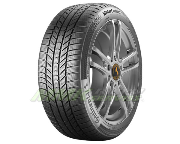 215/55R17 Continental CWC TS 870 P EVC 94H dot24 - Vissezonas riepas / Ziemas riepas