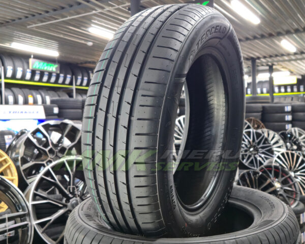 205/60R16 Tercelo Tercesis ECO 92V - Vasaras riepas