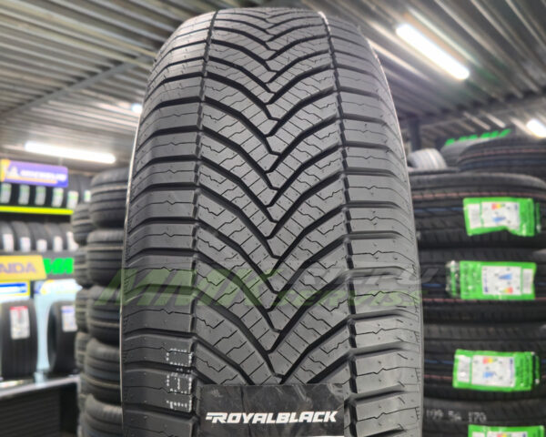 205/60R16 Royal Black Royal A/S 2 96H XL - Vissezonas riepas / Ziemas riepas