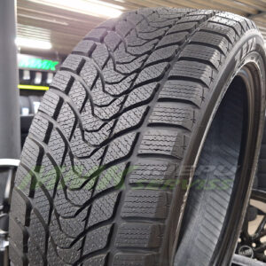225/50R17 Delinte Winter WD6 98H XL - Vissezonas riepas / Ziemas riepas
