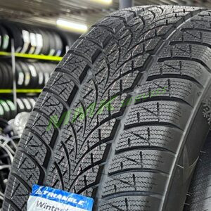 Triangle WinterX TW401 205/55 R17