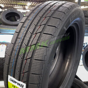 Gopro EV-ice 245/50 R19